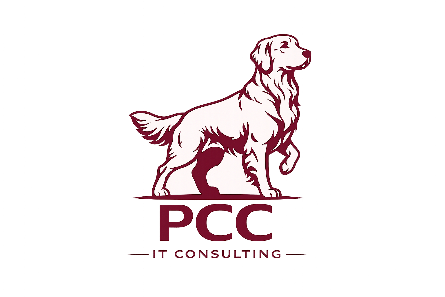 TechPCC logo